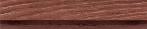 Brown Spruce