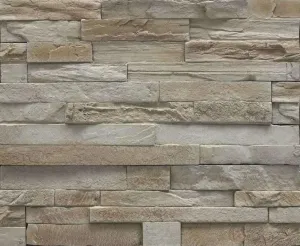 Safari